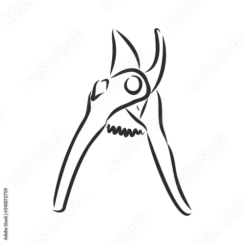 Vector illustration of pruner gardening tools and utensils isolated on a white background, garden maintenance, landscaping and hobby concept, sketch style,