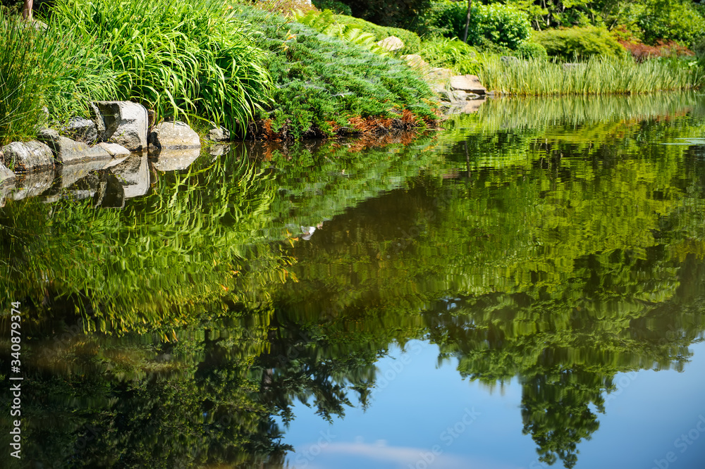green trees reflection in a lake green trees reflection in a lake