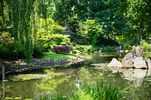 Summer japanese garden. Beautiful nature. City park