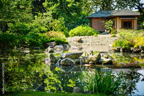Summer japanese garden. Beautiful nature. City break