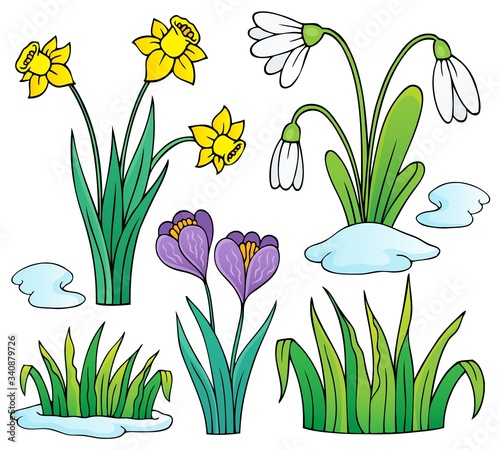Early spring flowers theme set 1