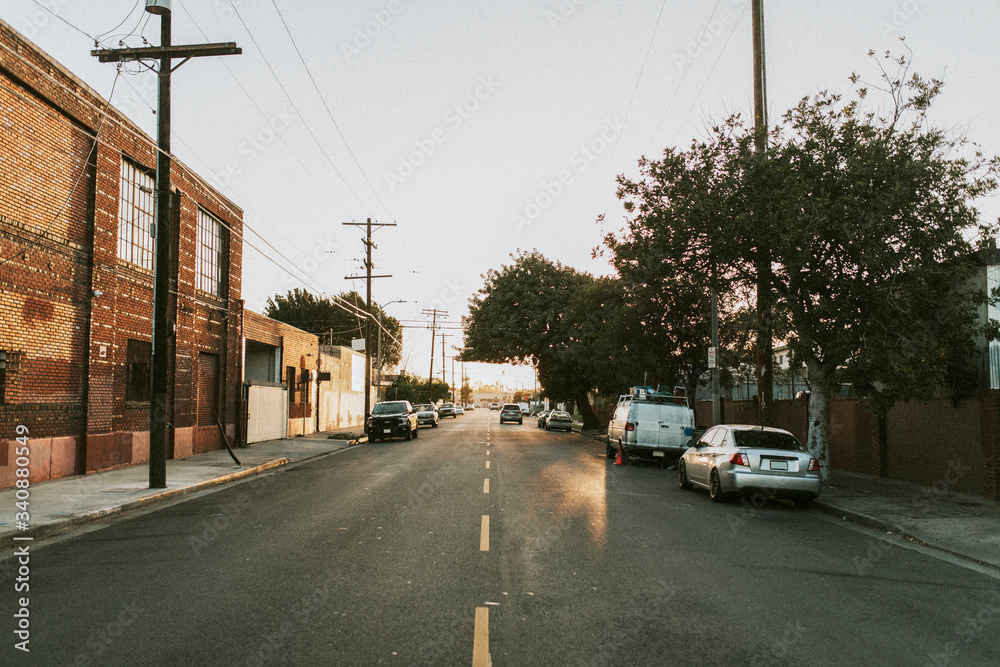 Fototapeta premium Quiet road in a neighborhood of Los Angeles