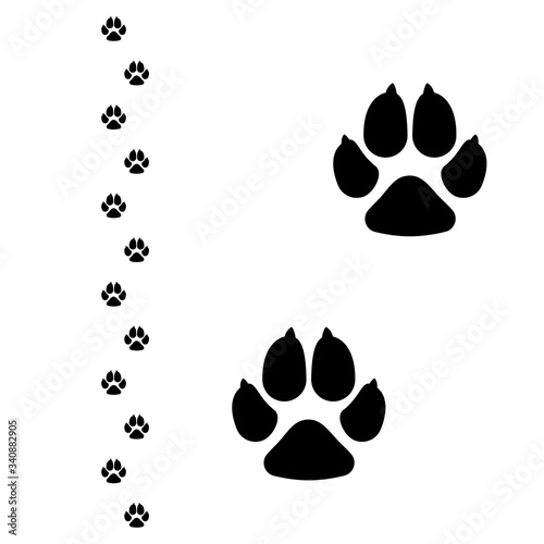 Dogs paw. Dog footprint flat icon. Vector illustration isolated on white background