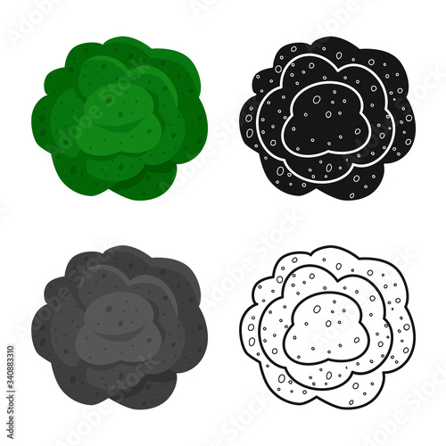 Isolated object of broccoli and ingredient sign. Set of broccoli and doodle stock symbol for web.