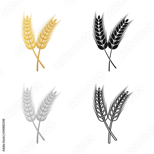 Vector design of wheat and stalk symbol. Collection of wheat and gold stock symbol for web.