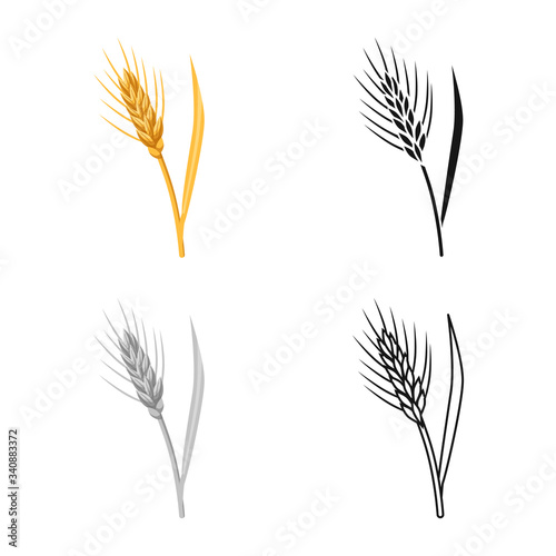 Vector design of barley and sheaf symbol. Collection of barley and crop vector icon for stock.