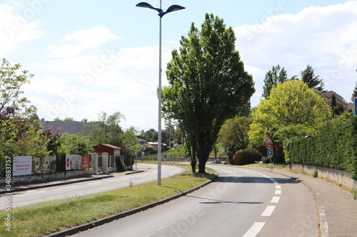 Avenue du 8 mai 1945 à Corbas, rue bordée d'arbres - Département du Rhône - France