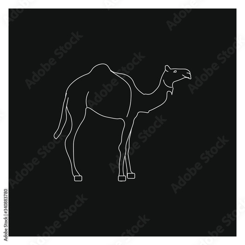 dromedary animal, illustration for web and mobile design.