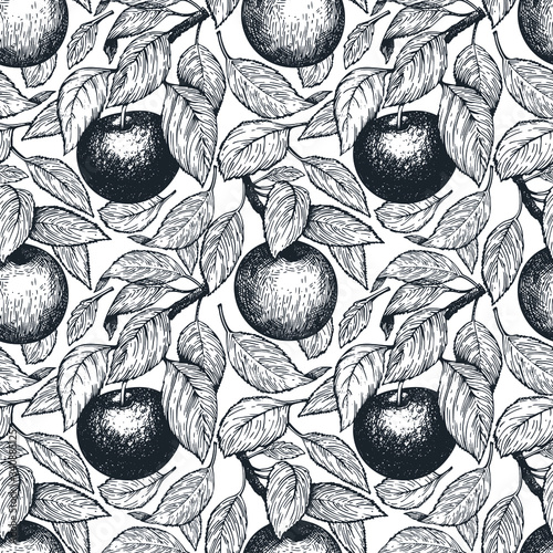 Apple seamless pattern. Hand drawn vector garden fruit illustration. Engraved style fruits. Retro botanical background.