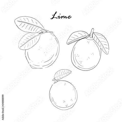 Lime sketch set