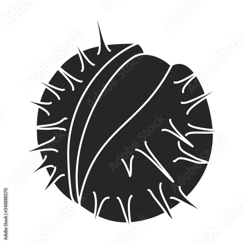 Chestnut vector icon.Black vector icon isolated on white background chestnut.