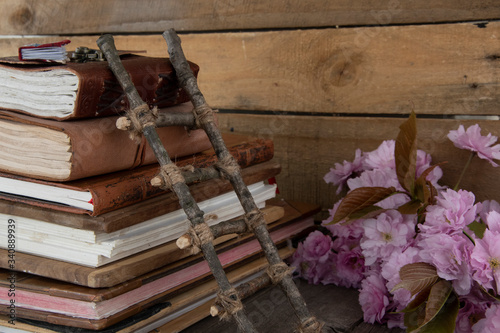 A stack of old wooden books, with miniature wooden ladder and tiny wooden book