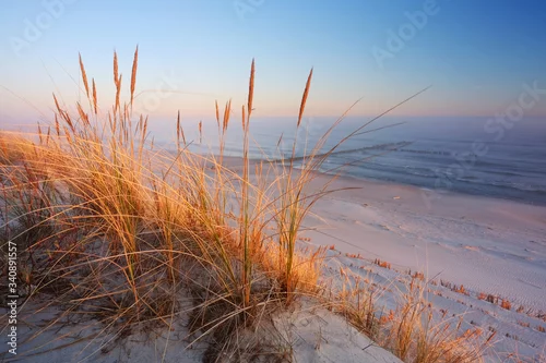 Obraz Wydmy na wybrzeżu Morza Bałtyckiego,plaża w Dźwirzynie o wschodzie słońca.