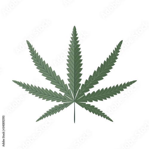Cannabis leaf isolated on white vector illustration
