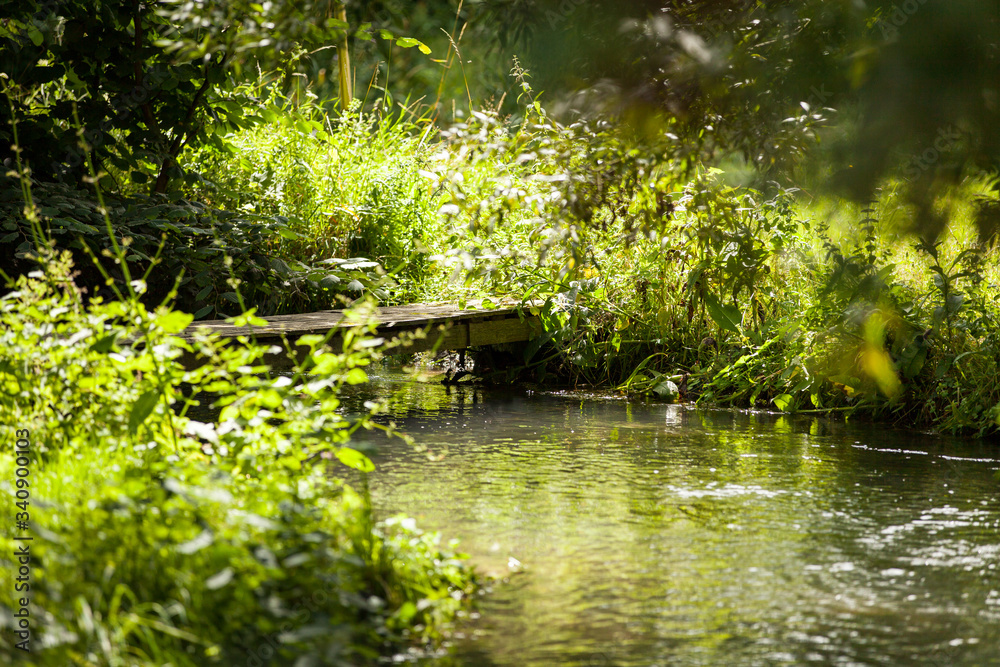 pretty little bridge spanning a small wild stream pretty little bridge spanning a small wild stream