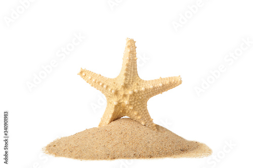 Starfish with sand isolated on a white background with copy space. Summer concept