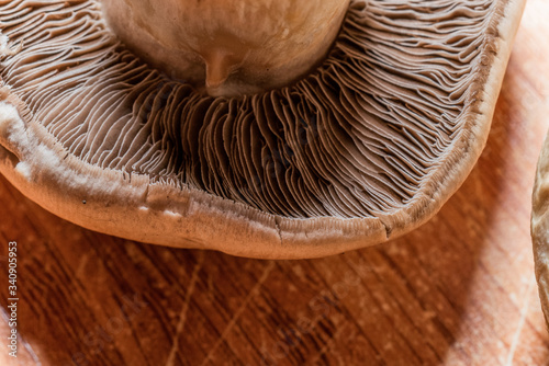 Close-up macro detail photo mushrooms on yellow coffee colored chopping board.