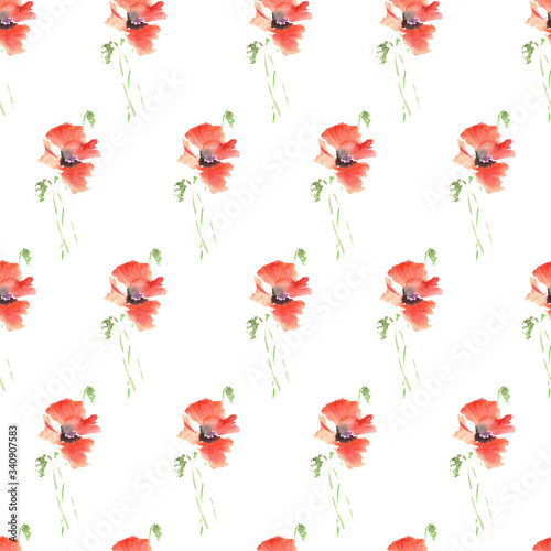 Red poppy seamless pattern. Watercolor illustration