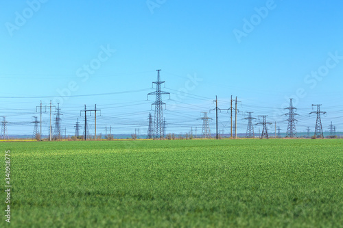 Wallpaper Mural power line in a field of green wheat / early spring industry on the background of a green field Torontodigital.ca