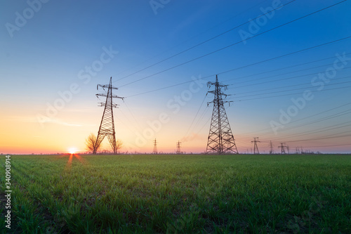 Wallpaper Mural power line in a field of green wheat / early spring industry on the background of a green field Torontodigital.ca