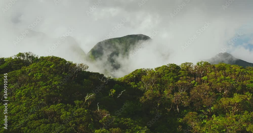 Cinematic aerial view flying over lush green misty mountain peaks in Hawaii Cinematic aerial view flying over lush green misty mountain peaks in Hawaii