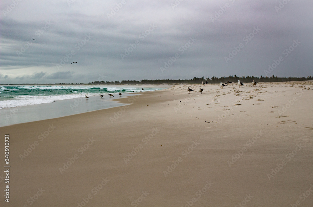 Cloudy brasilian beach
