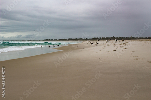 Cloudy brasilian beach