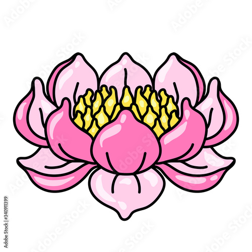 Illustration of lotus flower. Water lily decorative image.