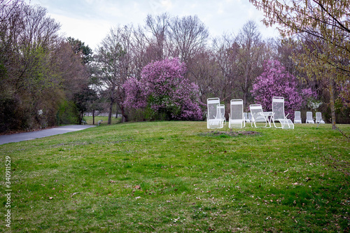 Empty sun benches at public park during  Corona Virus quarantine in Kurpark Oberlaa, Vienna. The COVID-19 Pandemic makes spring time peaceful. 