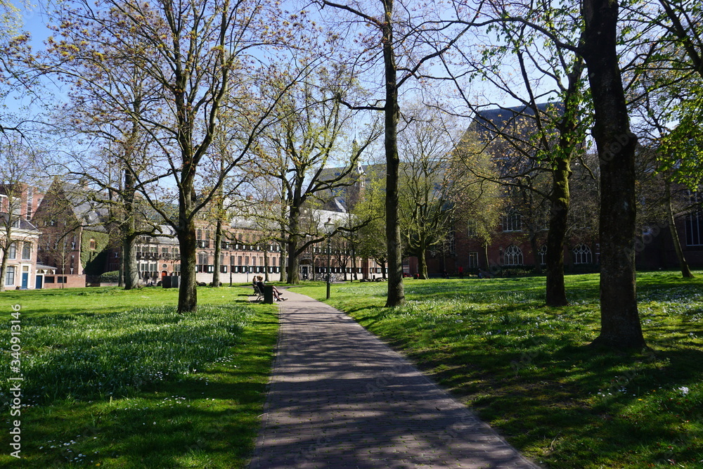 Obraz premium Garden