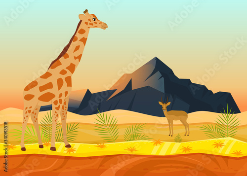 African animal giraffe deer, tropical natural landscape concept flat vector illustration. Beautiful desert place, rock mountain background. Herbivorous beast rest feed, wildlife living nature.