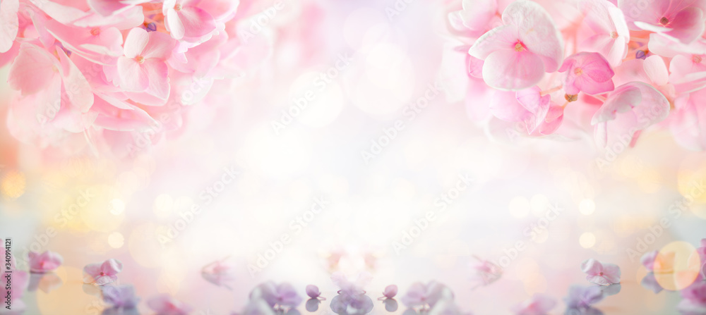 Beautiful spring flowers blurred background with bokeh effect. Flower concept with purple and pink hortensia.