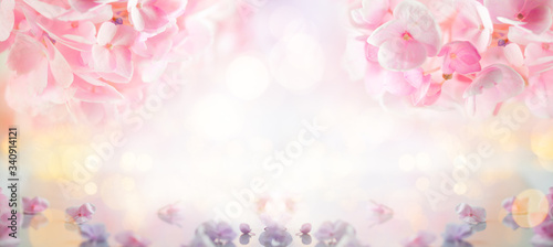 Beautiful spring flowers blurred background with bokeh effect. Flower concept with purple and pink hortensia.