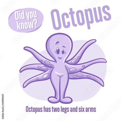 Octopus. Interesting facts about sea animals. Did you know?
