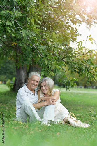 Portrait of beautiful senior couple sitting on grass © aletia2011