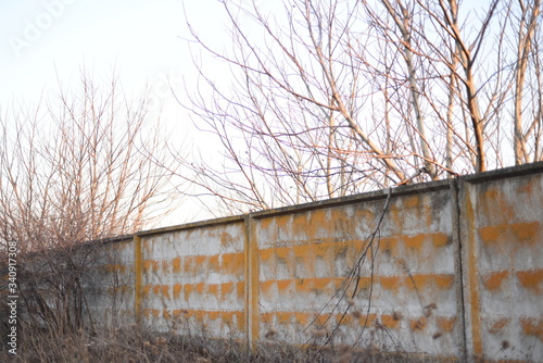 old forgotten mossy concrete fence near young trees
