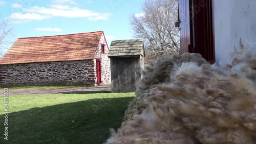Pan from pile of freshly sheared sheep wool to outhouse and stone farm building. photo