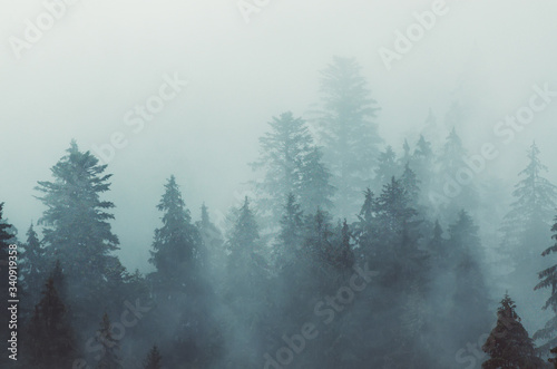 Misty mountain landscape