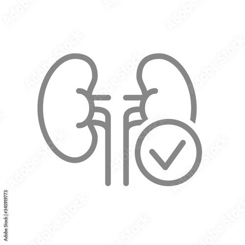 Kidneys with tick checkmark line icon. Healthy internal organ symbol
