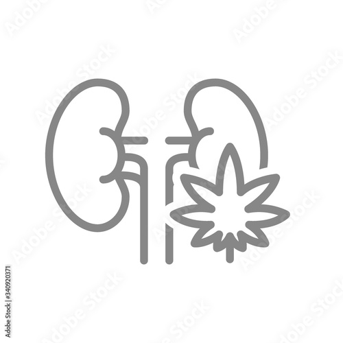 Human kidneys with marijuana leaf line icon. Cannabis treatment, anesthesia symbol