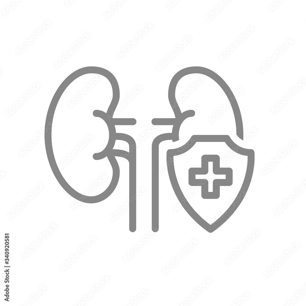 Protected kidneys line icon. First aid for organ for filtering blood symbol Protected kidneys line icon. First aid for organ for filtering blood symbol