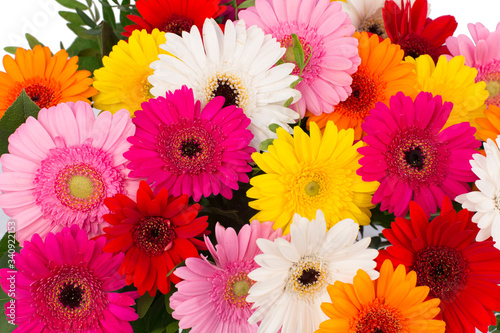 Colorful flower bouquet in a vase isolated