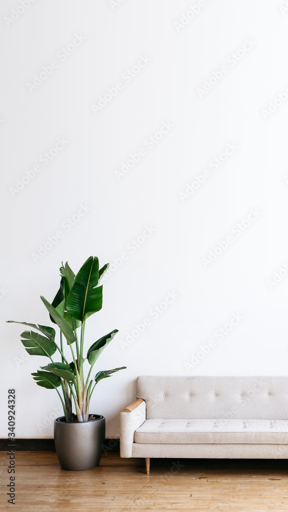 Modern light colored sofa Modern light colored sofa