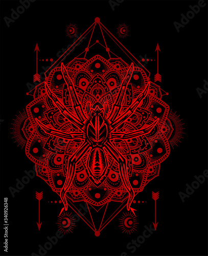 Vector illustration spider insect with unique gothic pattern vintage.
