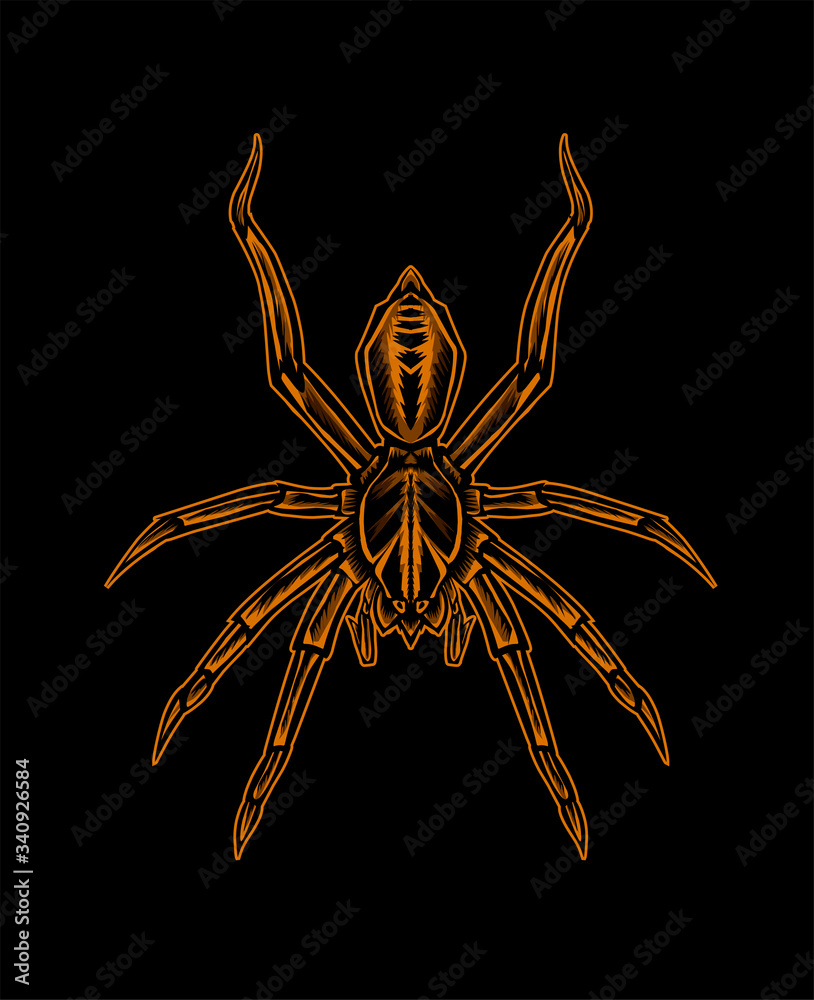 Vector illustration spider insect on black background. Vector illustration spider insect on black background.