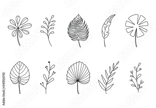 Flower graphic sketch drawing. Set of hand drawn tropical plants. Trendy simple tattoo design, floral botanical elements. Vector illustration