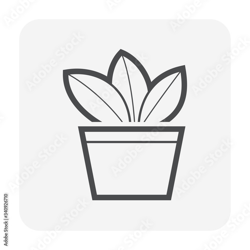 Pot gardening and plant. Also called container gardening, pot farming, flowerpot or pot agriculture. That is small, enclosed and usually portable object used for displaying live flowers or plant.