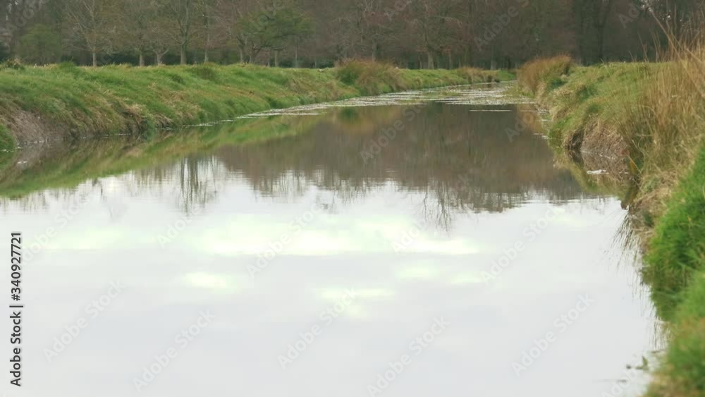 Calm Canal With Trees Reflecting Off Water and Flies Dancing in Ireland Calm Canal With Trees Reflecting Off Water and Flies Dancing in Ireland