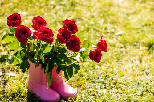 Cute pink baby girl rain boots holding red roses as a sweet gift from daughter to her mummy. Daughter gives gift to her mother on Mother's Day. Mother's day background. Sunny warm spring day in garden