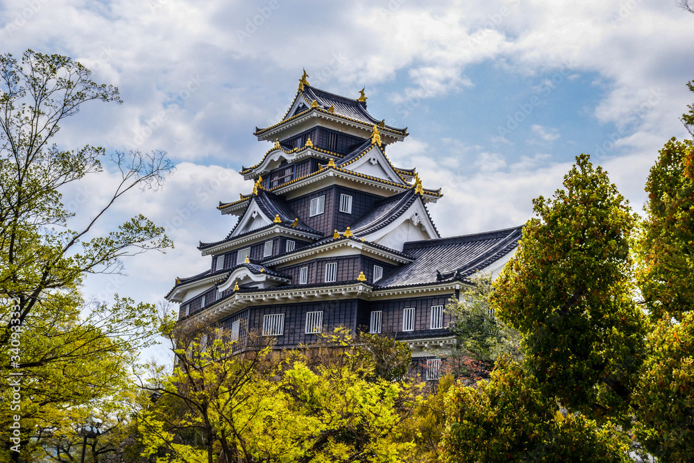 Beautiful Okayama castle surrounded by green trees and cherry blossoms, Japan Beautiful Okayama castle surrounded by green trees and cherry blossoms, Japan